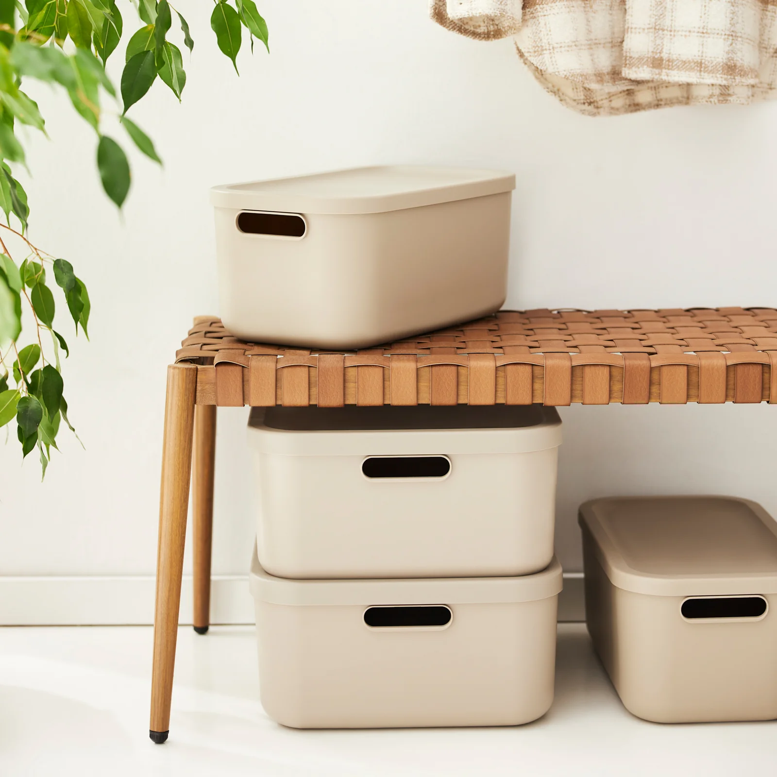 Aufbewahrungsboxen-Set 3tlg. 2x 20l und 55l ALBULA LIGHT - Image 16