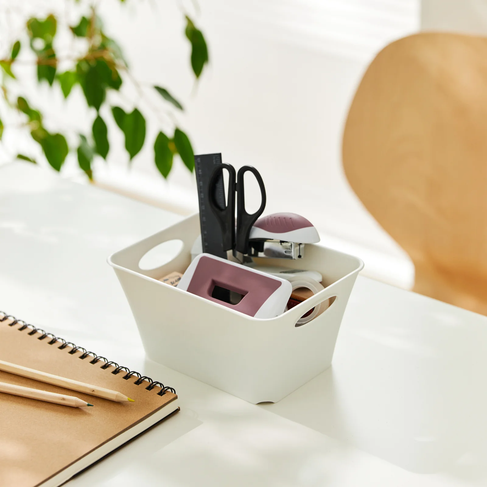 Box 1,5 l LIVING - Image 3