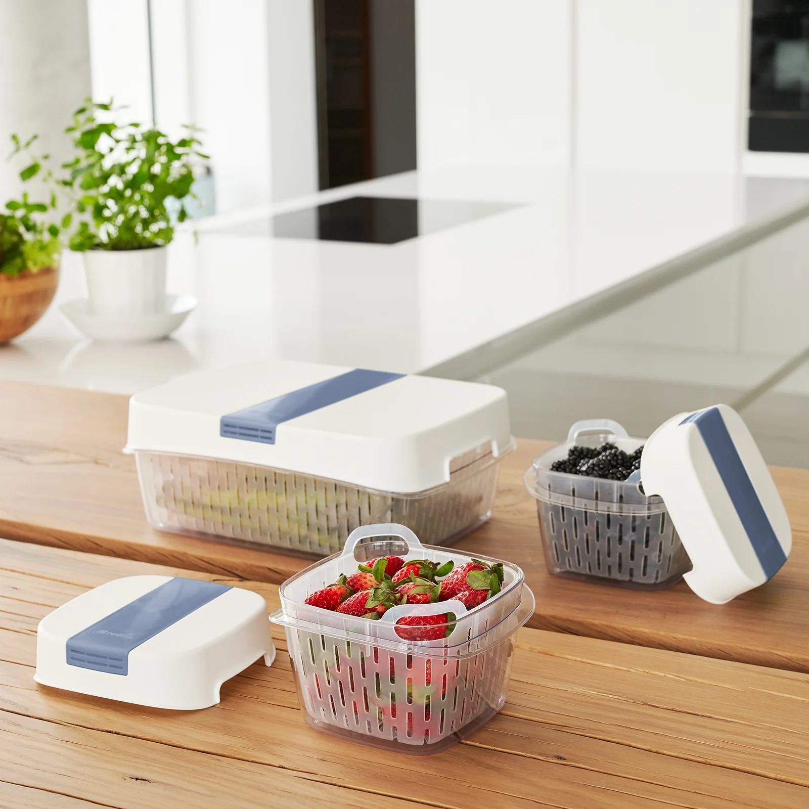 Dynamic Box 1,6 l FRESH - Image 4