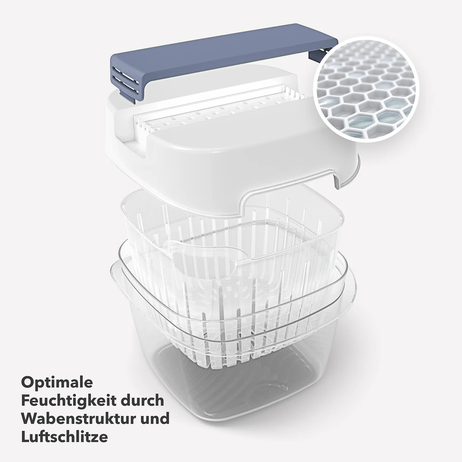 Dynamic Frischeboxen 1,6 L mit 4er-Filter - Image 10