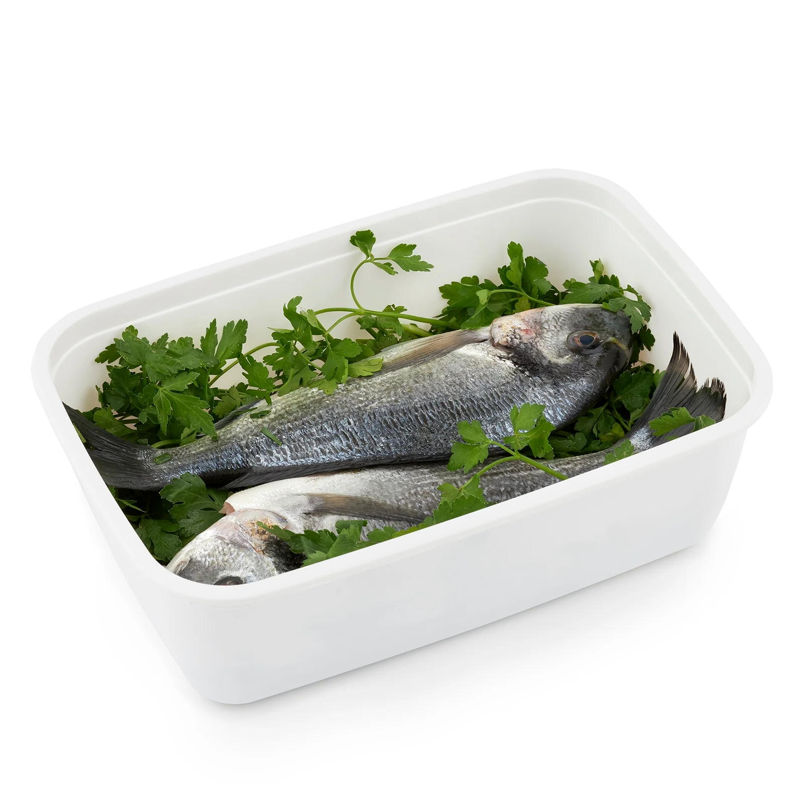 Gefrierdose 3,7 l FREEZE - Image 7