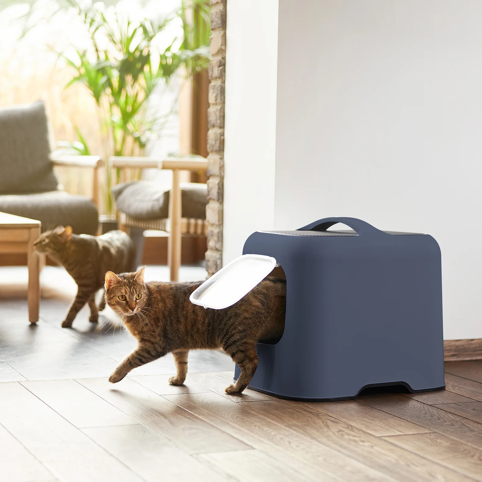 Katzentoilette Bea - Image 20