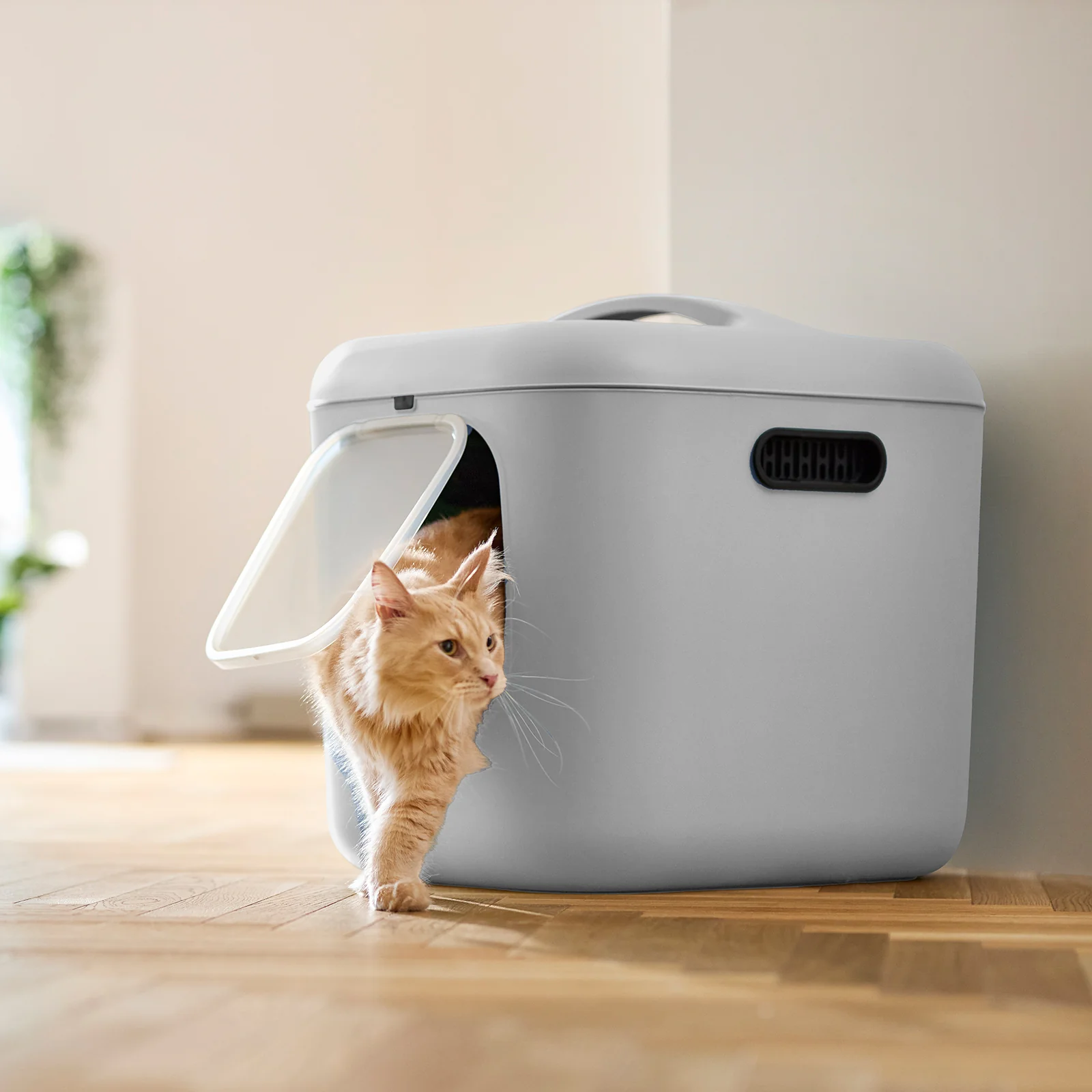 Katzentoilette Bea XL - Image 19