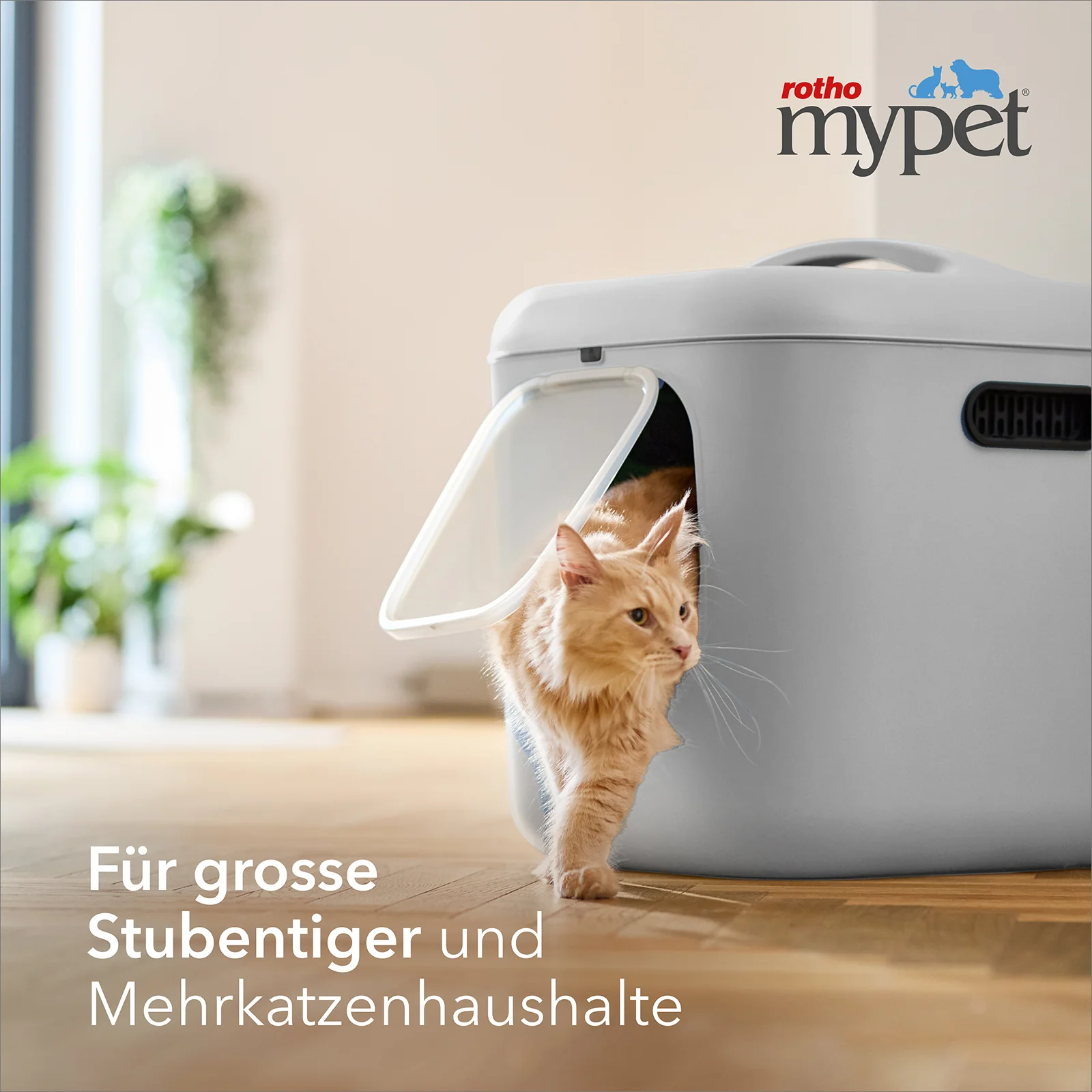 Katzentoilette Bea XL - Image 2