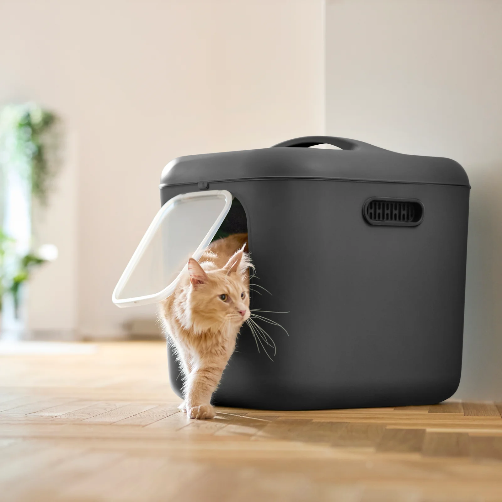 Katzentoilette BIALA XL - Image 17
