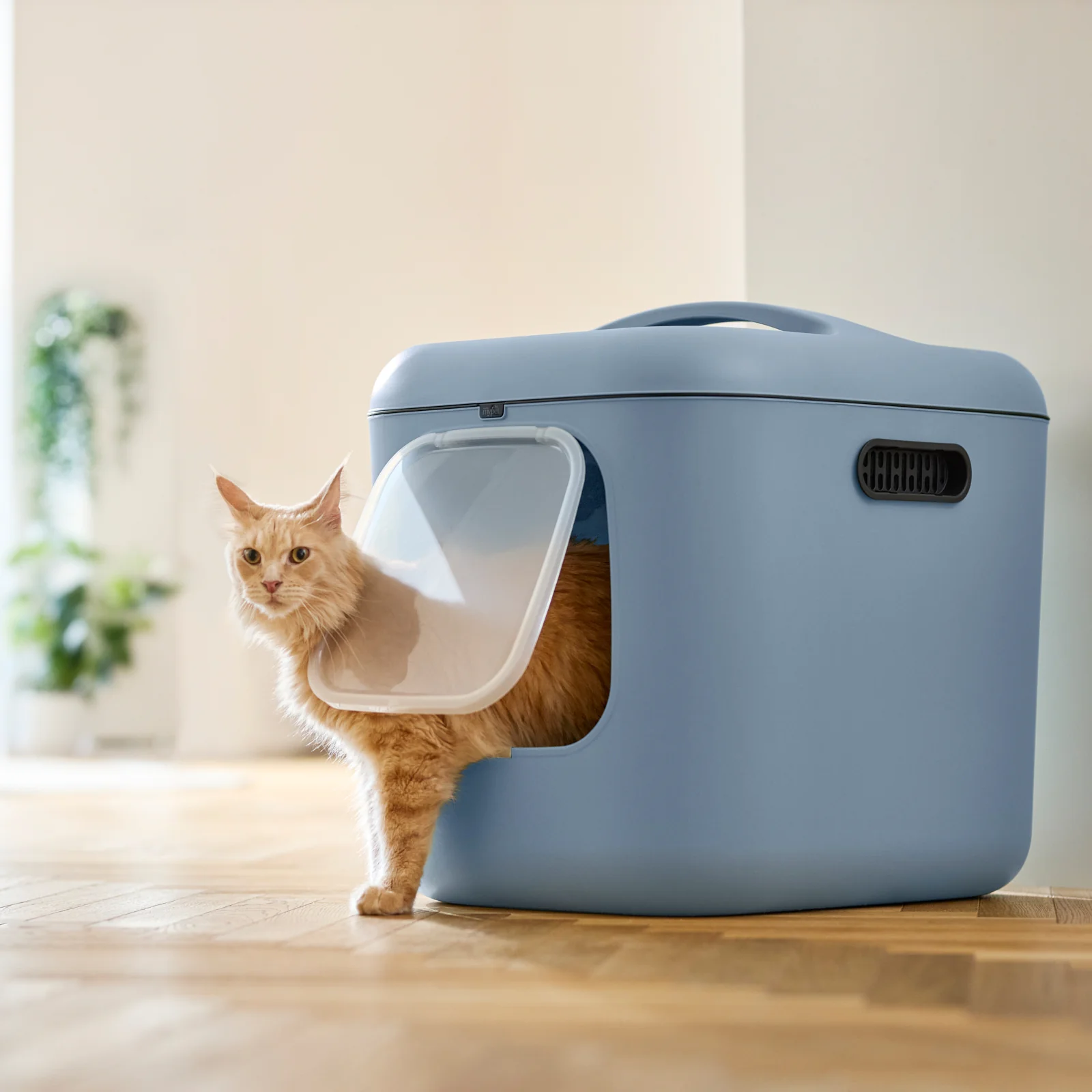 Katzentoilette BIALA XL - Image 8