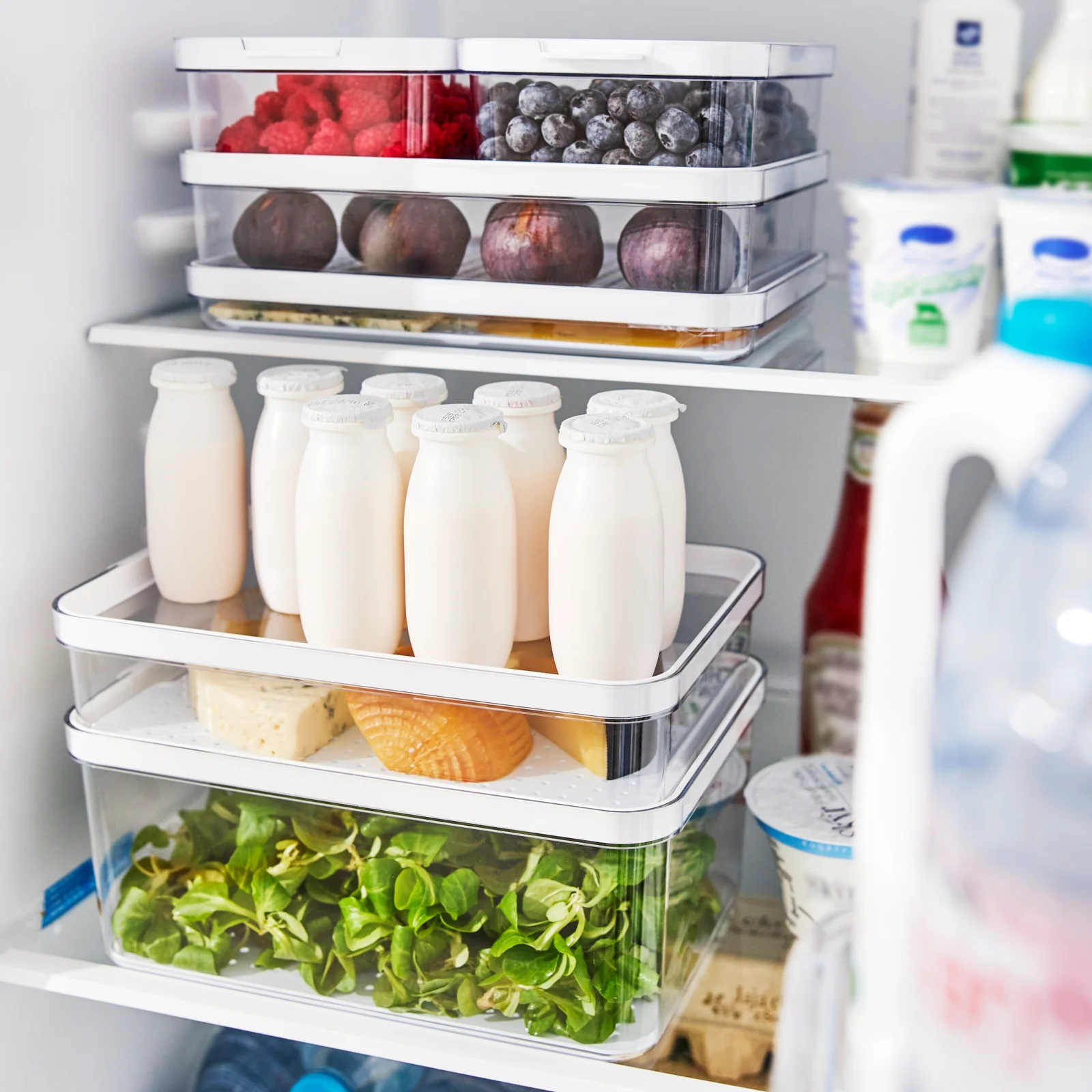 Kühlschrankorganizer 1,2 l CAUMA - Image 4