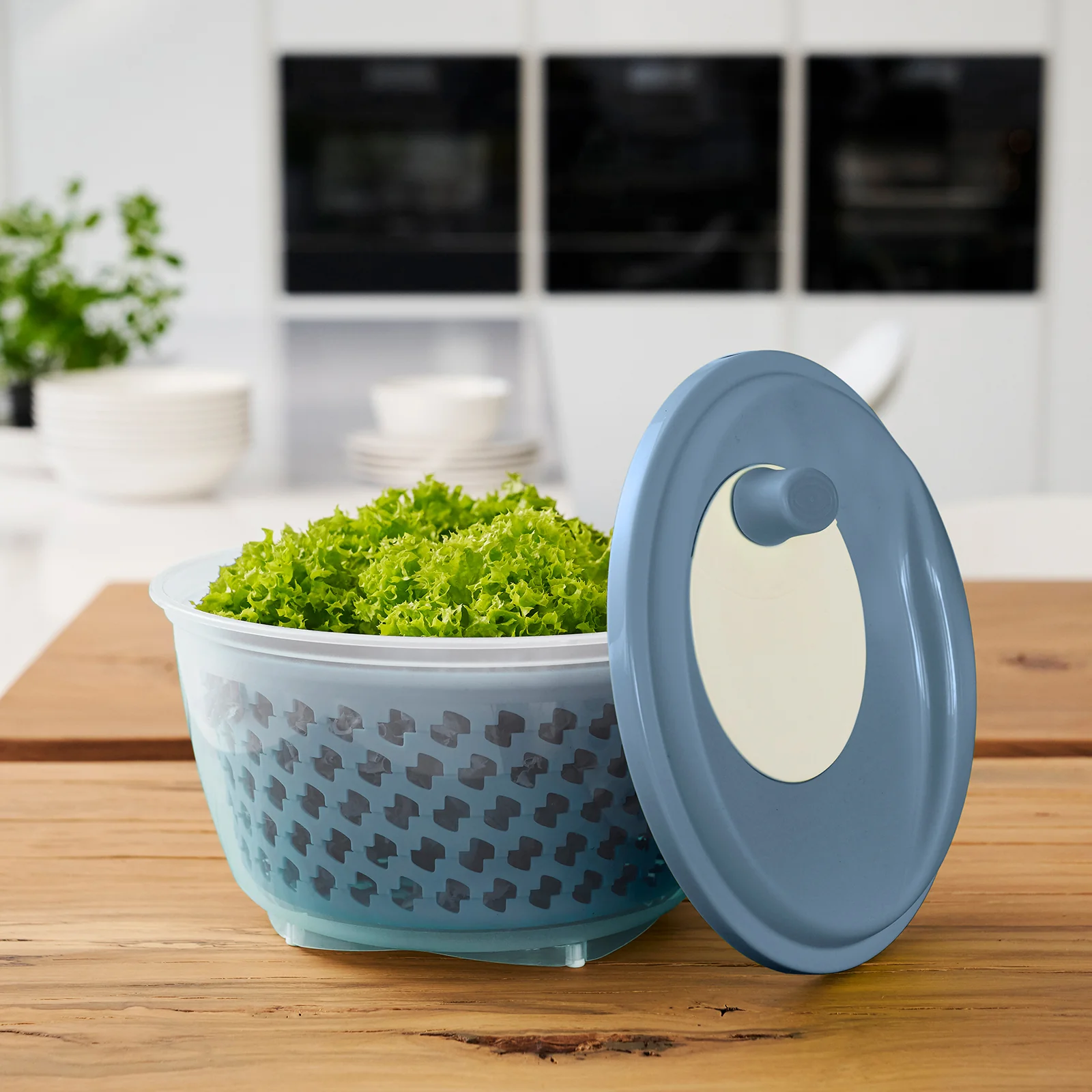 Salat-Komplett-Set - Image 2